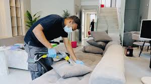 Home Cleaning preview